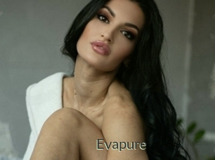 Evapure