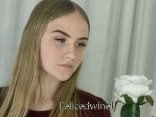 Felicedwinell