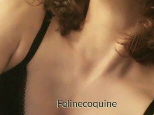 Felinecoquine