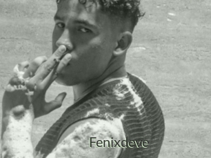 Fenixdeve