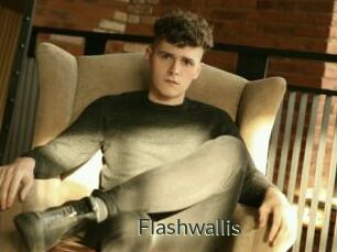 Flashwallis