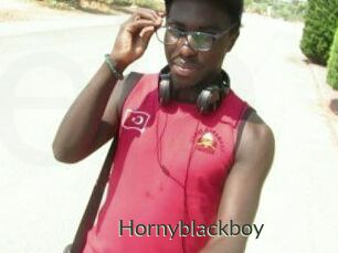 Hornyblackboy