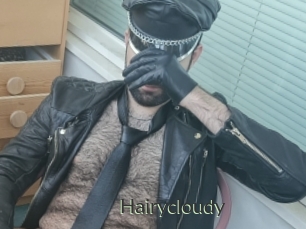 Hairycloudy