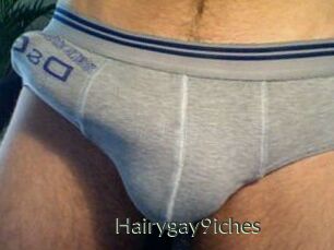 Hairygay9iches