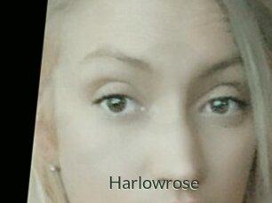 Harlowrose