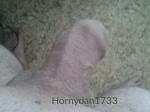 Hornydan1733