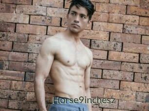 Horse9inchesz