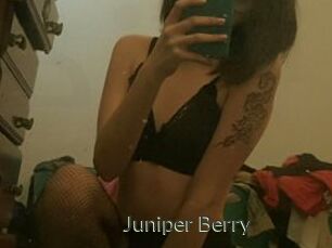 Juniper_Berry