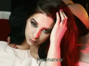 Karinanoir