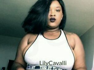 Lily_Cavalli