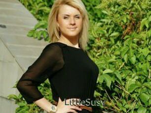 LittleSusy