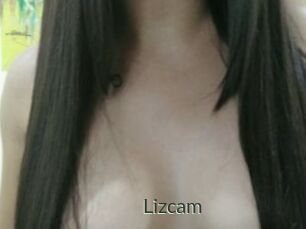 Lizcam