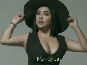 Mandycat