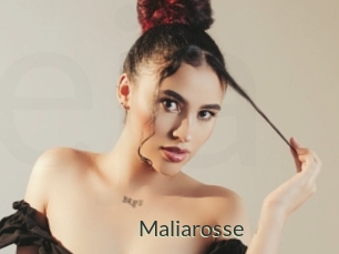 Maliarosse