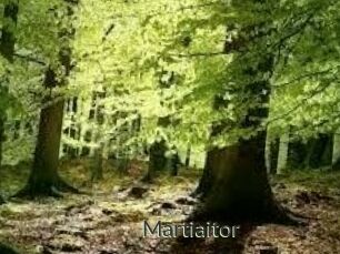Martiaitor