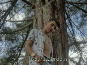 Mathew_brooks