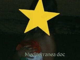 Mediterranea_doc