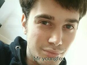 Mr_youngfox