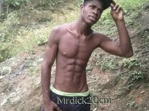 Mrdick20cm