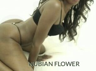 NUBIAN_FLOWER