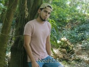 NoahDiaz