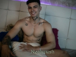 Noahmush