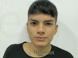 Nohascot