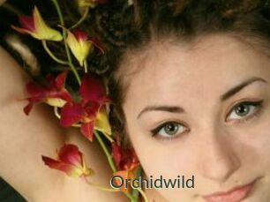 Orchidwild