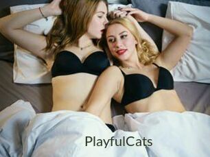 PlayfulCats