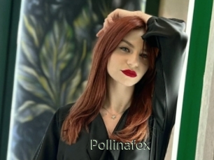 Pollinafox
