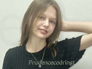 Prudencecodringt