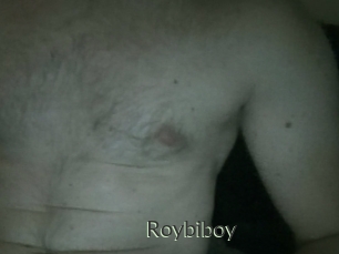 Roybiboy