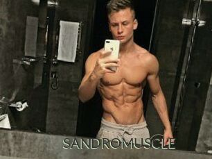 SANDRO_MUSCLE