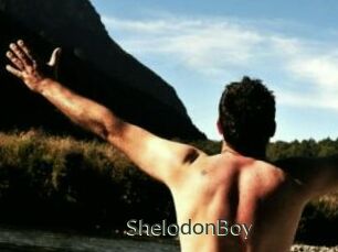 ShelodonBoy