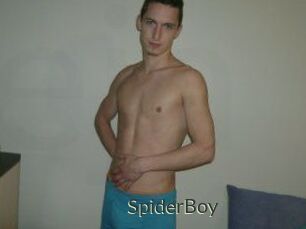 SpiderBoy