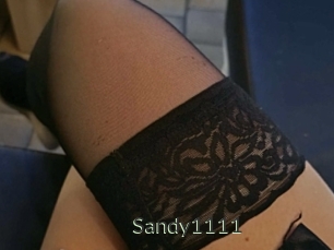 Sandy1111