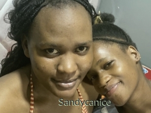 Sandycanice