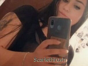 Scarlethrush