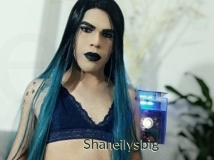 Shaneilysbig