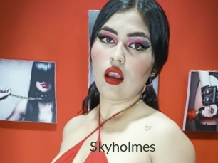 Skyholmes