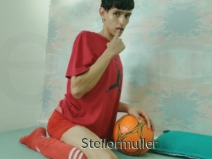 Steilormuller