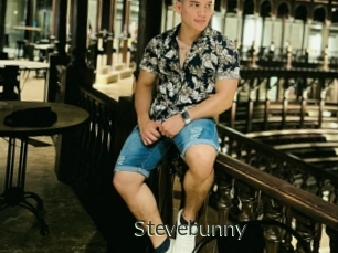 Stevebunny