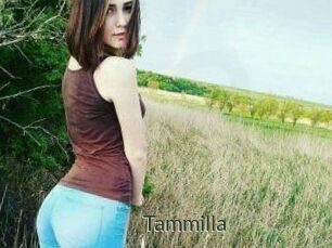 Tammilla_