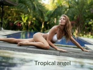 Tropical_angel