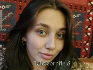 Taitecornfield