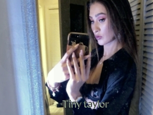 Tiny_taylor