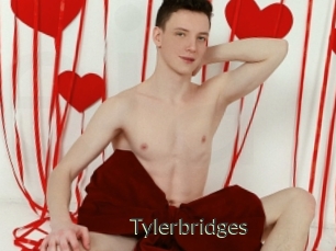 Tylerbridges