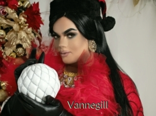 Vannegill