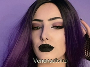 Venenadivina