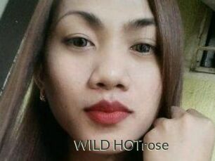 WILD_HOTrose